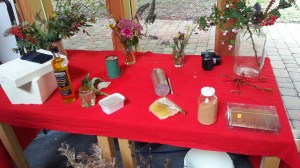 Clive's selection of products of the hive and bee forage