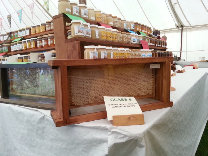 comb of honey in a glass case