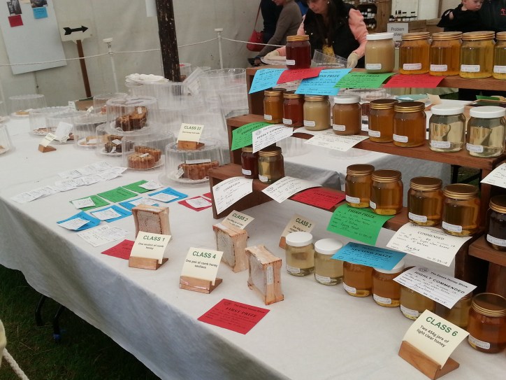 honey comb built into wooden boxes