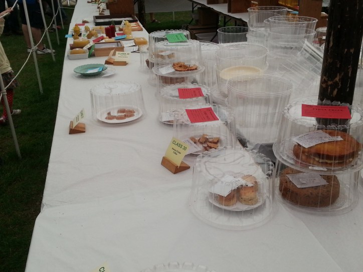 cake competition entries