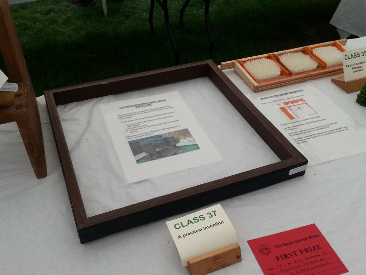 intention competition